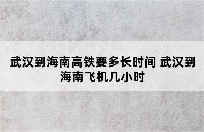 武汉到海南高铁要多长时间 武汉到海南飞机几小时